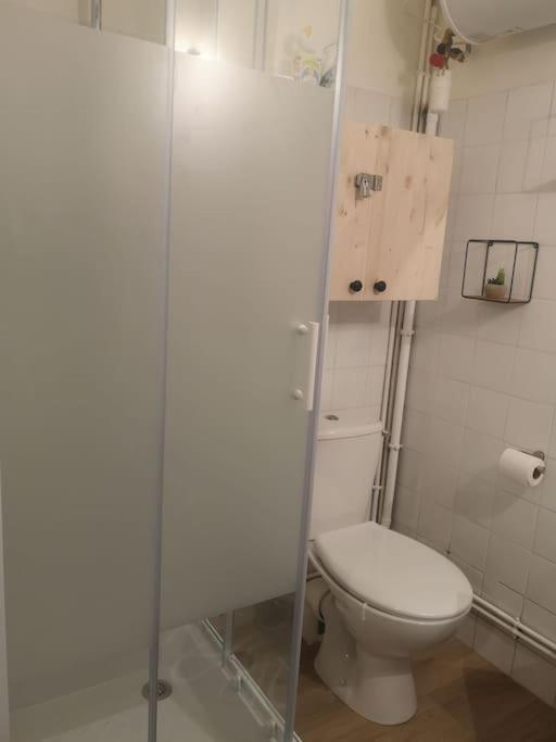 Cosy Au Centre-ville De Apartment Toulouse